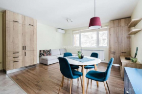Apartment in Boyana